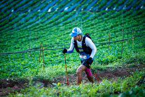 BIB: 
                            <button type="button" onclick="openModal(19160190)" class="btn btn-primary btn-sm float-right btn-popup" data-toggle="modal" data-target=".modal-high-quality">
                        <i class="fas fa-shopping-cart"></i> Add to Cart
                    </button>
                                            <button type="button" onclick="isThisMe(19160190, true)" class="btn btn-success btn-sm float-right btn-popup btn-isme hidden" data-toggle="tooltip" data-placement="bottom" title="นี่คือรูปของคุณใช่ไหม คลิกที่นี่เพื่อเอาเข้าอัลบั้ม">
                        <i class="fas fa-plus"></i> Add to album
                    </button>
                    <button type="button" onclick="isThisMe(19160190, false)" class="btn btn-warning btn-sm float-right btn-popup btn-isnotme hidden">
                        <i class="fas fa-ban"></i> Remove from album
                    </button>